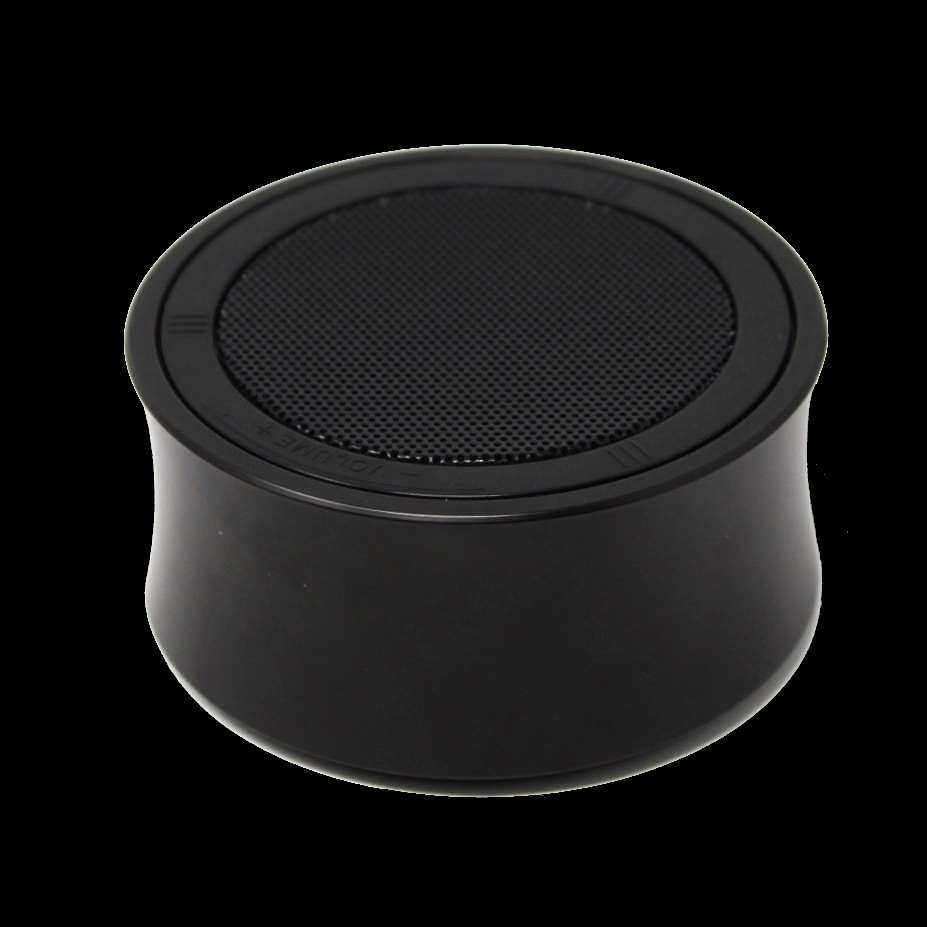 X1 Spirit Box Speaker