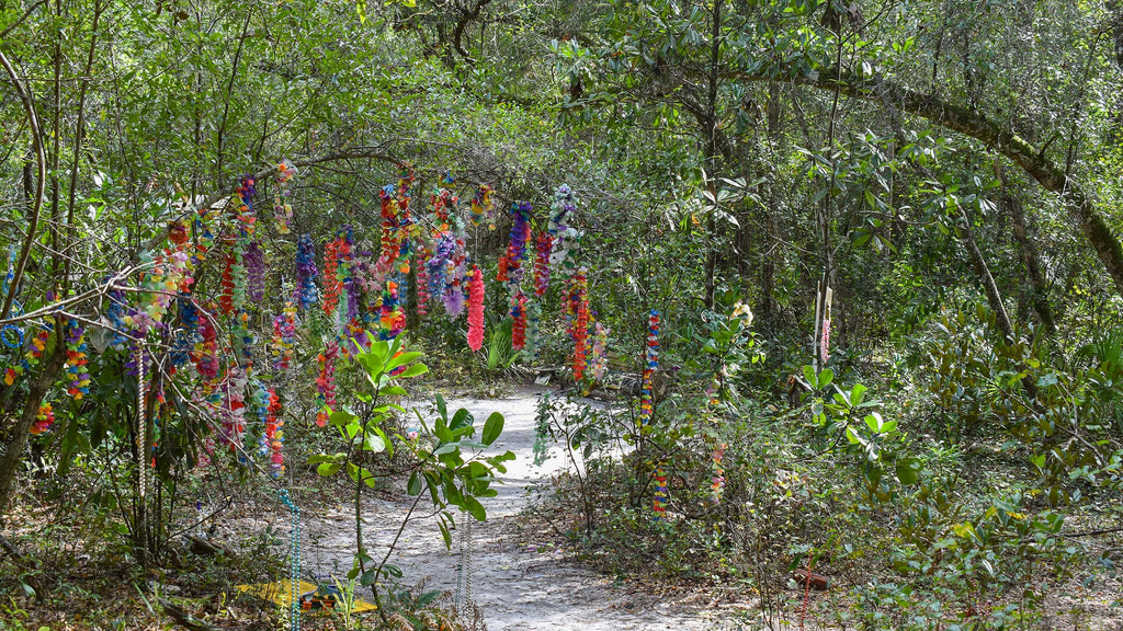 Exploring Cassadaga, Florida – Ghost Hunters Equipment by GHOST AUGUSTINE