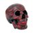 TRIBAL SKULL