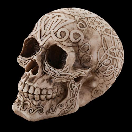 Celtic Skull