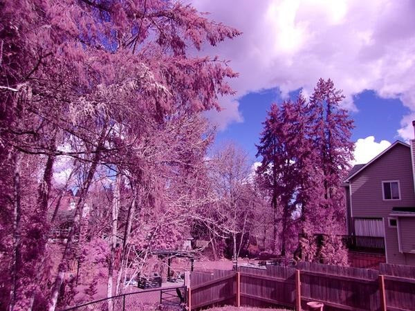 Full Spectrum Kodak Camera