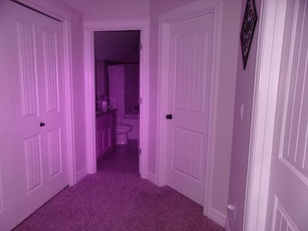 Full Spectrum Kodak Camera