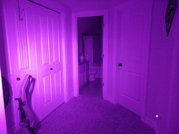 Full Spectrum Kodak Camera